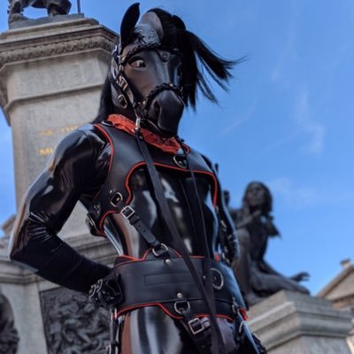 Pony/pup/furry from Montreal, Canada 18+ account only Under @MechantRenard’s protection Am 30