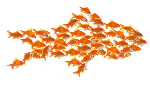 forhandler's profile picture. Sammen for bedre betingelser! Forhandler.no er en nettportal og et knutepunkt mellom forhandlere og leverandører i Norge.