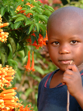 Ithemba_hope's profile picture. Help the Zimbawean Child