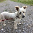 James Dummer - @james_dummer - Twitter