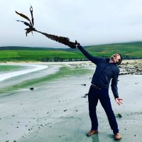 Steven Sheil (aka @scsheil.bsky.social) (@ssheil) 's Twitter Profile