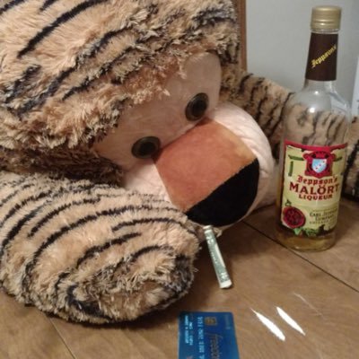 TheGuerra1's profile picture. Football y futbol. MDW til I die.