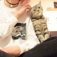 ざわこ (@zawakoz) 's Twitter Profile