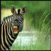 HumorTweets (@humortwitts) Twitter profile photo HumorTweets (@humortwitts) Twitter profile photo