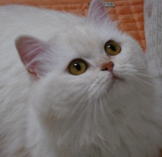 mimiddong's profile picture. 적당히 즐겁게