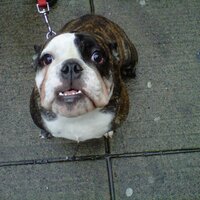 Jay (@bdjay) 's Twitter Profile