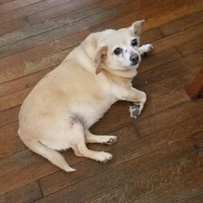 JoshGetgo's profile picture. Couldn't have had the best birthday ever without GetGo, my mom, dad, and sister!