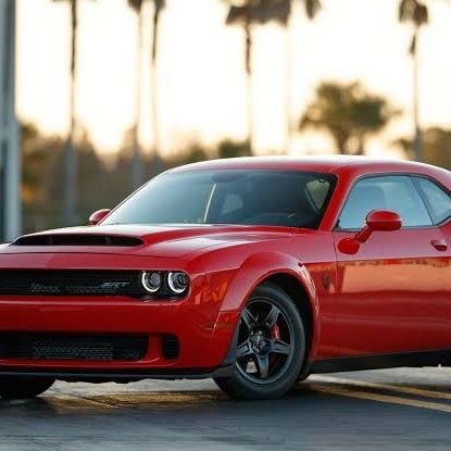 foxviper6's profile picture. follow for follow back