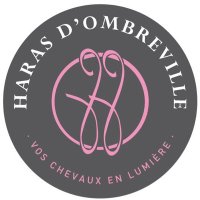 HarasOmbreville (@harasombreville) 's Twitter Profile
