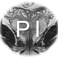 Prostate Imaging(@ImagingProstate) 's Twitter Profile Photo