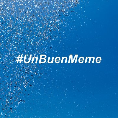 Memes graciosos en español, Memes divertidos, Memes retro, Memes de mascotas, videos asombrosos y mucho más.