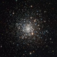 Zoltan (@zoltanknowsbest) 's Twitter Profile