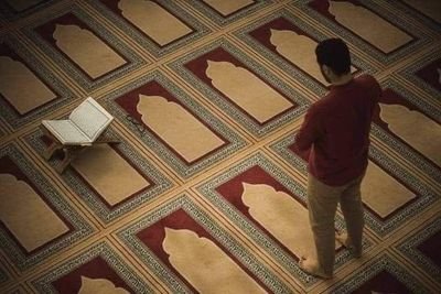 zD9roujyGnOSIcJ's profile picture. #الخاين لا وجود له في طريقي#💣