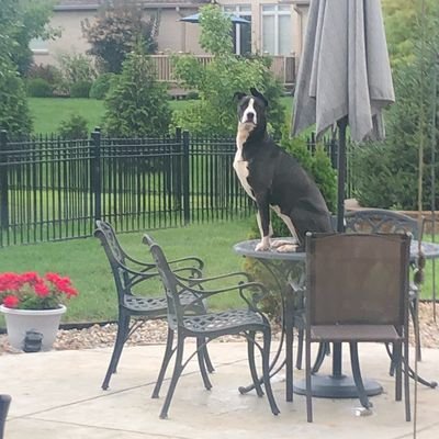 oOakTree's profile picture. Instagram: domoaktree