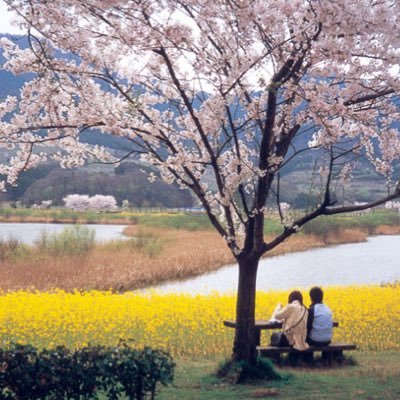 技術職/40代後半/男性/内向型 内向型のあり方を模索中/2020年に突然うつ病発症/2021.6通院服薬終了