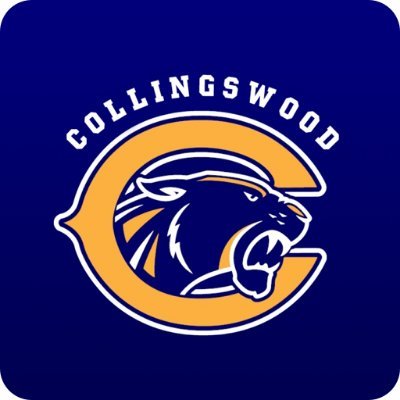 Chief Academic Officer and Preschool Supervisor for Collingswood and Oaklyn Public Schools.
