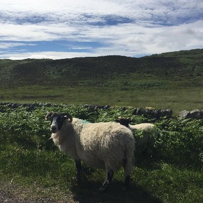 Sarah69112303's profile picture. 