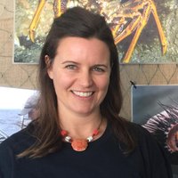 Katie Cresswell (@katiecrezz) 's Twitter Profile