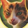 tawnypeltSC's profile picture. (og) the backbone of shadowclan