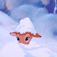 bambi (@bia_vicky) 's Twitter Profile Photo bambi (@bia_vicky) 's Twitter Profile Photo