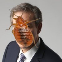 Bret Stephens (@bretstephen_nyt) 's Twitter Profile