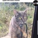 Randy Sparrow - @SparrowRandy - Twitter