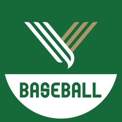 verdy_baseball Profile Picture