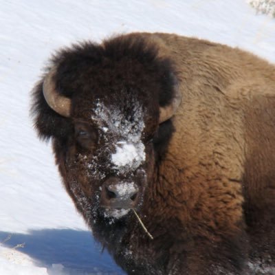 bethethunder5's profile picture. 🇺🇸