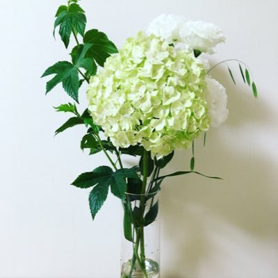 hirakana1026's profile picture. 