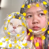 Alifa Nasyahta O (@ifhaaaa) 's Twitter Profile