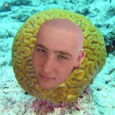 greennan4's profile picture. Coral man
