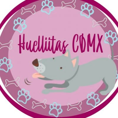 🤍🤍 Cuenta sin fines de lucro dedicada a ayudar, encontrar, publicar y adoptar mascotas perdidas en el EDOMEX... 🤍🤍#AdoptaNoCompres