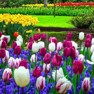 RecepGunes61's profile picture.  Allah bes, heves (Allah var gerisi boş. Allah bize yetişir, başka şeye ihtiyaç yok)