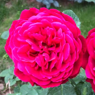 UBmvZ0gJjP0GWZy's profile picture. はじめて間もないのでどうして良いのか分かりません。教えて頂けると嬉しいです。宜しくお願いします😊
