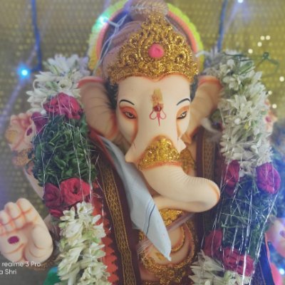 shri_bhandari's profile picture. website check karlo :-p