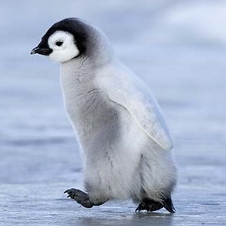 C2R_XT's profile picture. プログラミングスクール → MENTA → SES