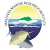 Maldives Marine Research Institute (@mmri_maldives) Twitter profile photo Maldives Marine Research Institute (@mmri_maldives) Twitter profile photo