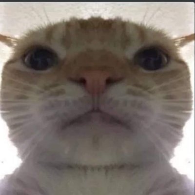 Chumoiさんのプロフィール画像