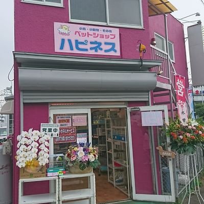 埼玉県ペットショップハピネス 小鳥 小動物 Okm67rdilpvhfka Twitter