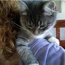 Amanda Pruden - @AmandaPruden - Twitter