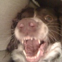 Wayne Lock - @waynelock30 - Twitter