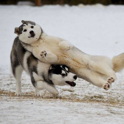 Bbfandstuffs's profile picture. 