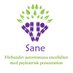 SANE Sweden (@sanesweden) Twitter profile photo SANE Sweden (@sanesweden) Twitter profile photo