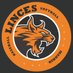 Linces CBS de Sanse (@lincescbssanse) Twitter profile photo Linces CBS de Sanse (@lincescbssanse) Twitter profile photo