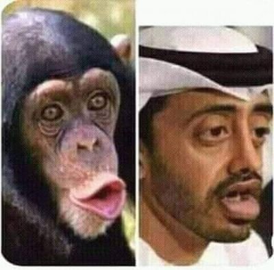 sDbR1GkyGt1bYJs's profile picture. 