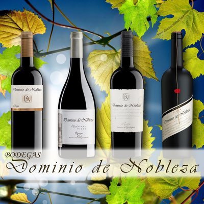 DominioNobleza's profile picture. Bodega donde se funden las costumbres, cultura y tradiciones de una comarca con el esfuero de una familia, sin olvidar los matices de la enologia actual.