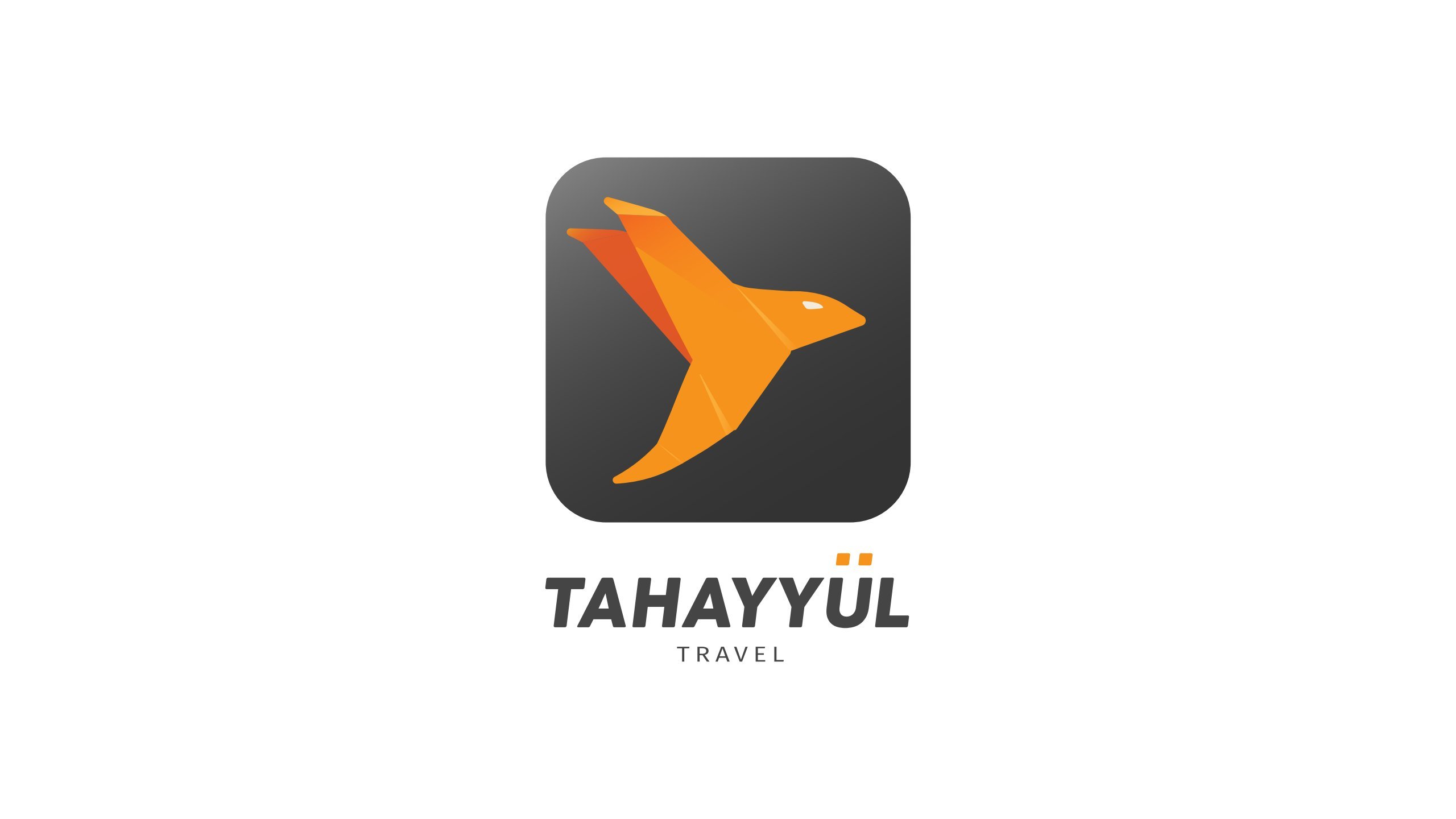 Founded in Istanbul, Tahayyul began operation in  2017 with its prime Vision to provide travelers a pleasant & value for money Tour experience in Turkey.