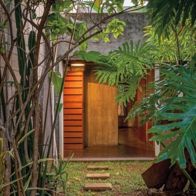 trpicalist's profile picture. “Fundamentally a tropicalist“