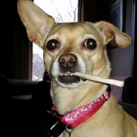 John Catrabone (@jcatrabone) 's Twitter Profile