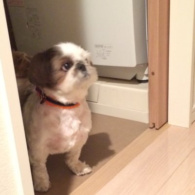 Najai97932468's profile picture. 人の一生は一つの織物を織り上げる様なものだと思います。予めセットされた縦糸（出自）に対して、どの様な横糸をどの様に織って行くのか。